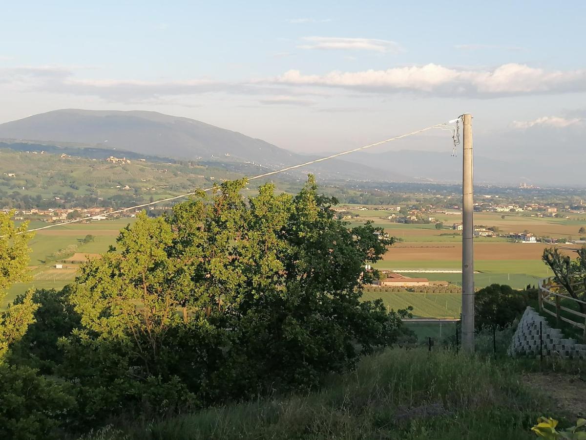 Villa Iliria Ripa Экстерьер фото